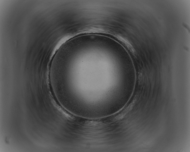 X0000093101374200709261222