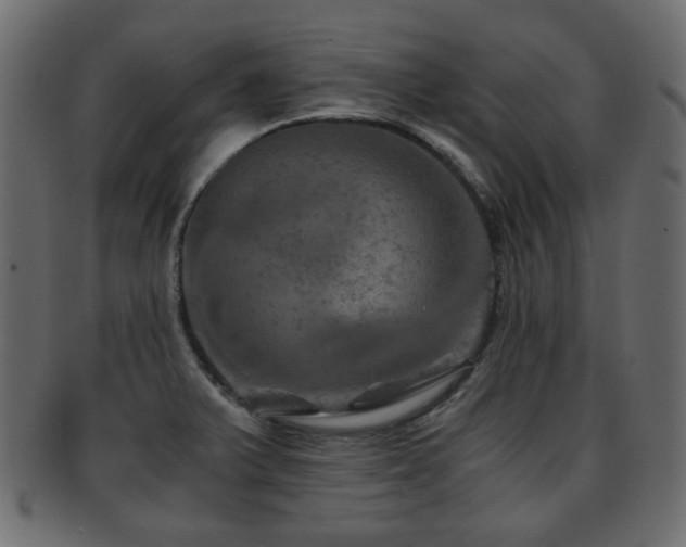 X0000093101375200709261222