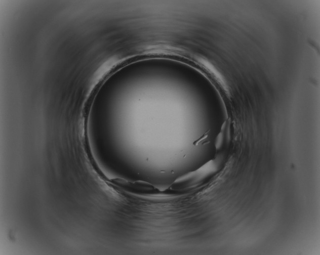 X0000093101376200709261222