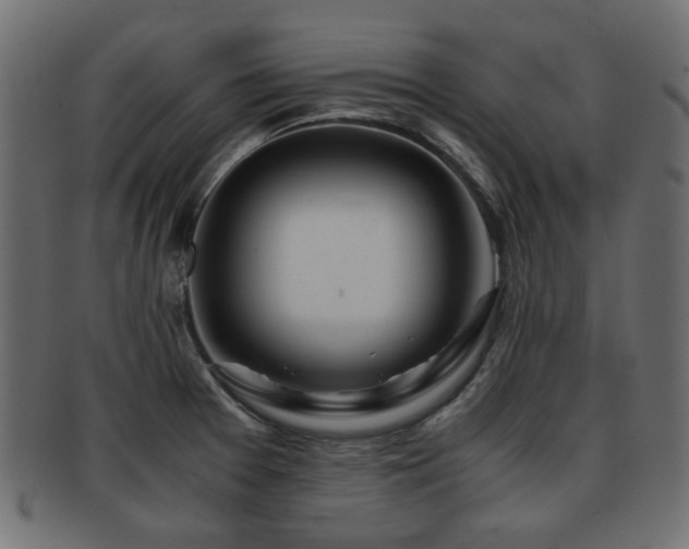 X0000093101377200709261222