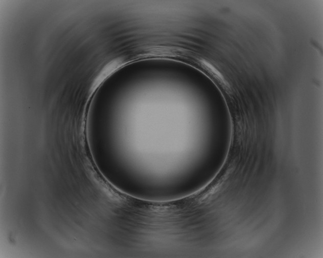 X0000093101378200709261222