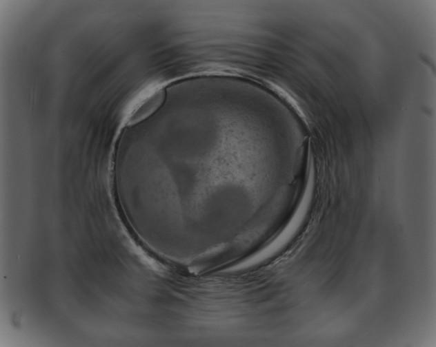 X0000093101379200709261222