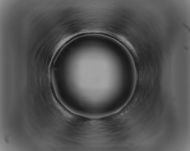 X0000093101380200709261222