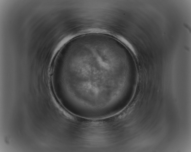 X0000093101381200709261222