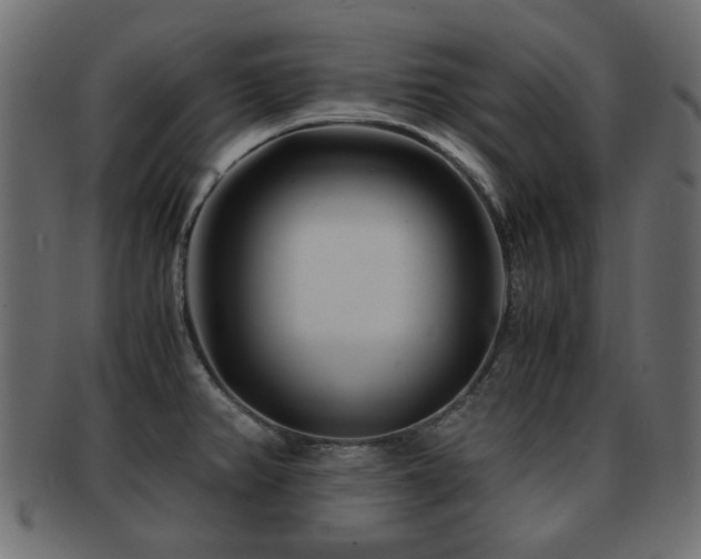 X0000093101382200709261222