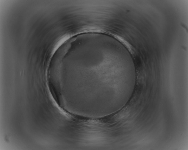 X0000093101383200709261222