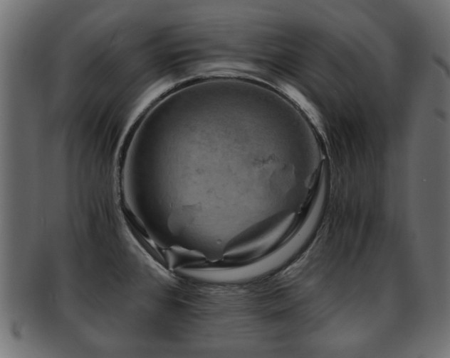 X0000093101384200709261222