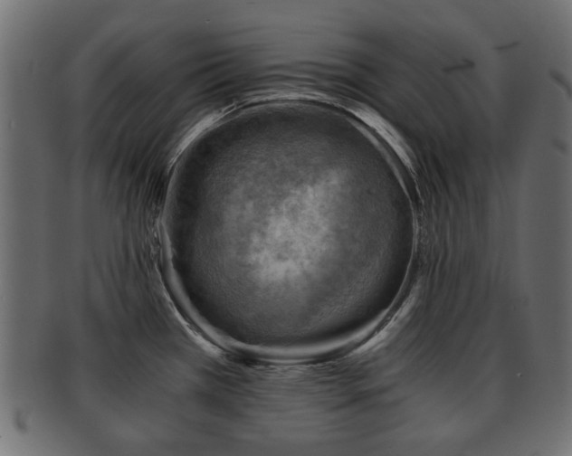 X0000093101385200709261222