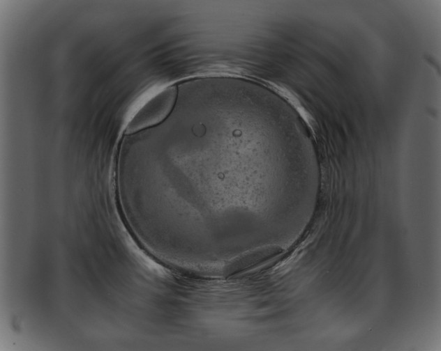 X0000093101387200709261222