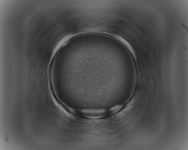 X0000093101389200709261222