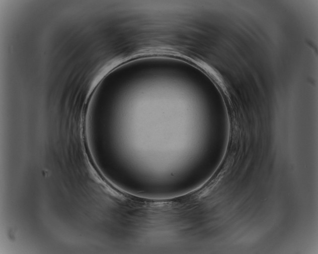 X0000093101390200709261222