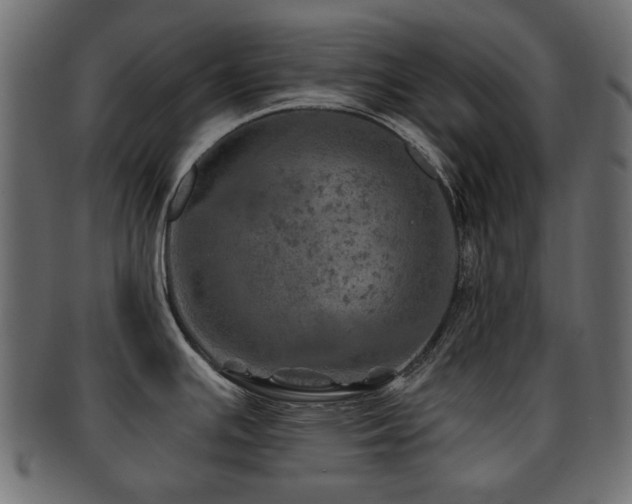 X0000093101391200709261222