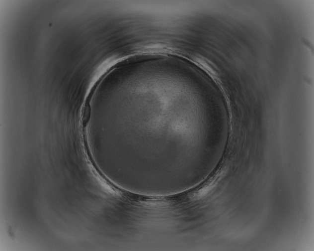 X0000093101392200709261222