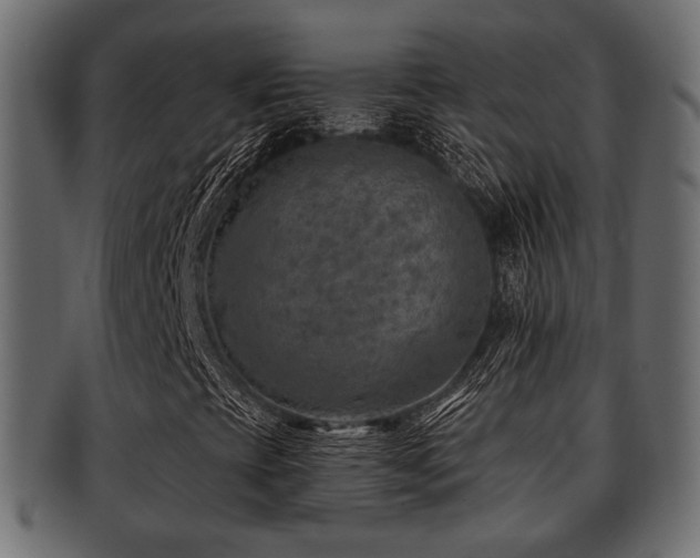 X0000093101393200709261221