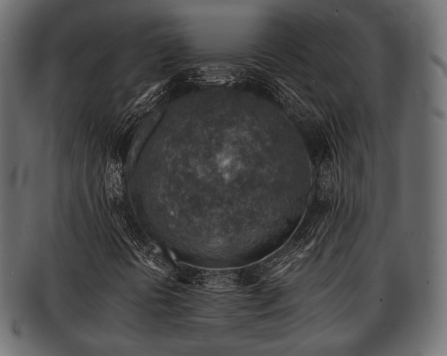 X0000093101394200709261221