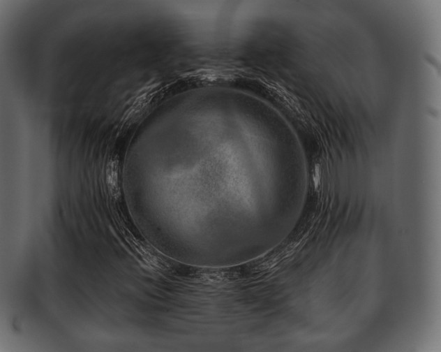 X0000093101396200709261221