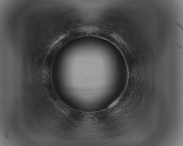 X0000093101398200709261221