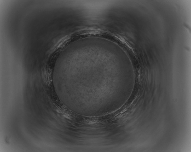 X0000093101399200709261221