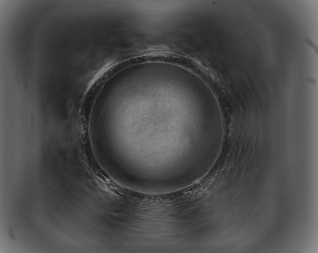 X0000093101400200709261221