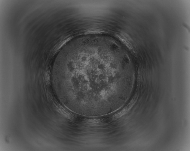 X0000093101401200709261221