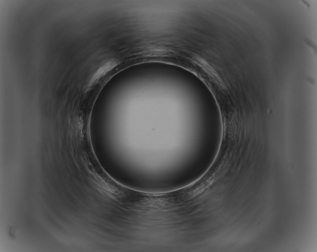 X0000093101402200709261221