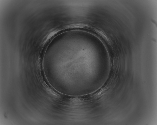 X0000093101404200709261221