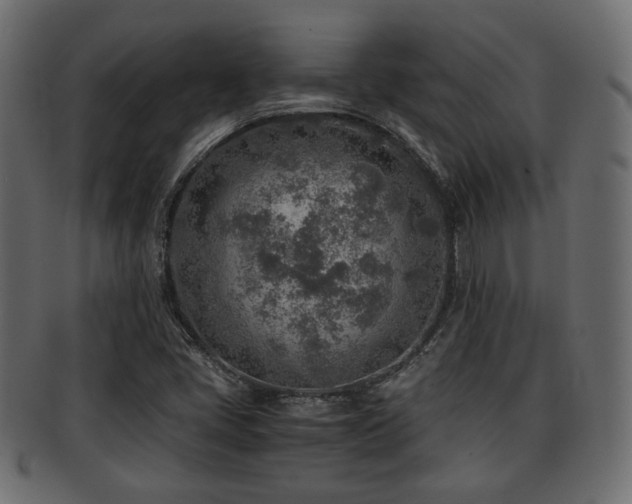 X0000093101405200709261221