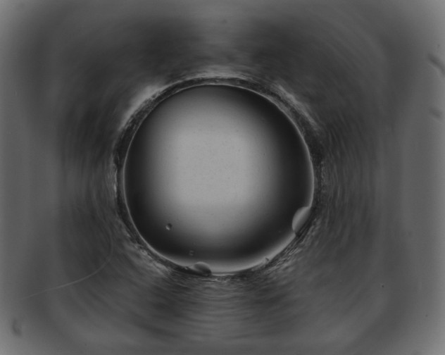 X0000093101408200709261221