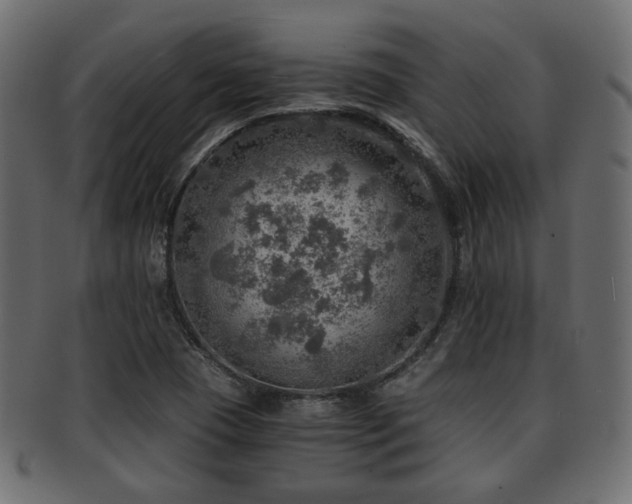 X0000093101409200709261221