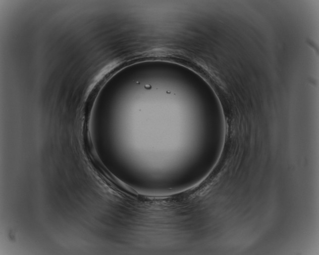 X0000093101410200709261221
