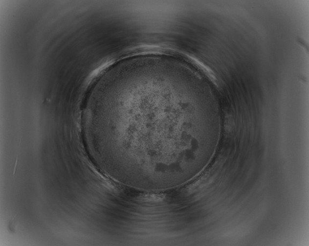 X0000093101411200709261221