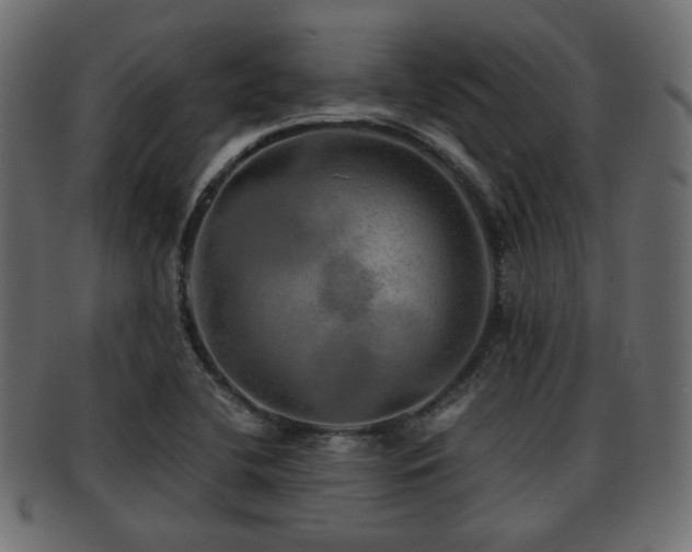 X0000093101412200709261221