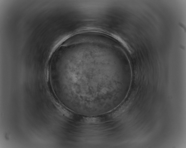 X0000093101413200709261221
