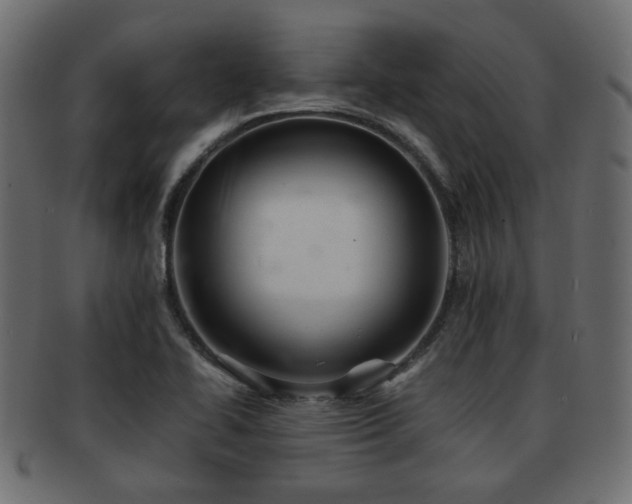 X0000093101414200709261221