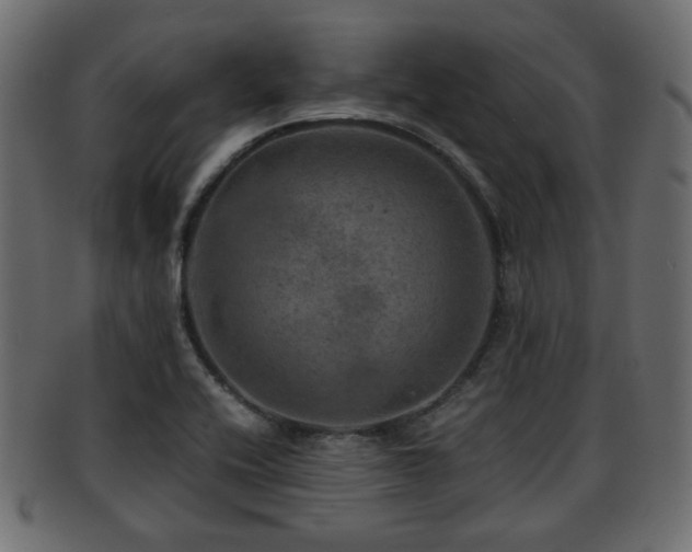 X0000093101416200709261221