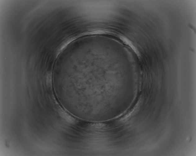 X0000093101417200709261221