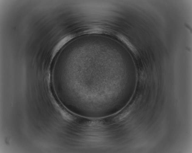 X0000093101418200709261221