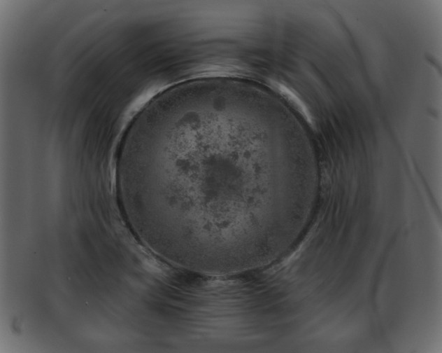 X0000093101419200709261221