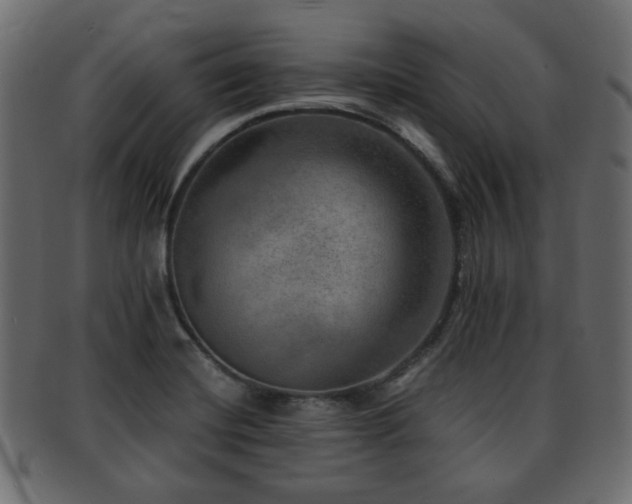 X0000093101420200709261221