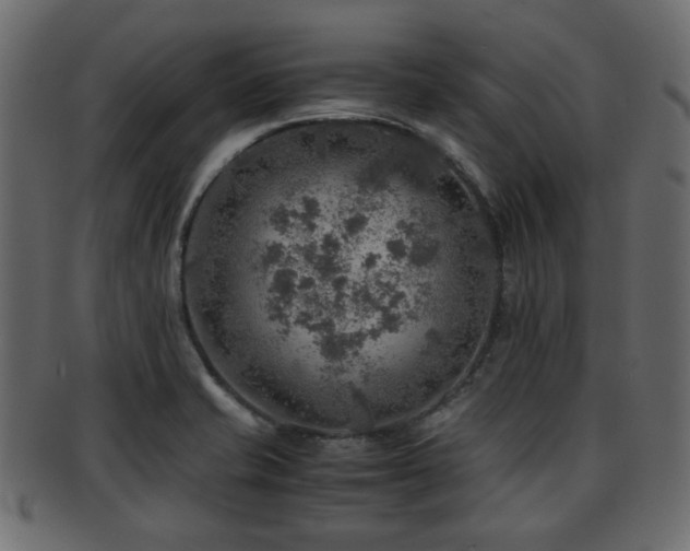 X0000093101421200709261221