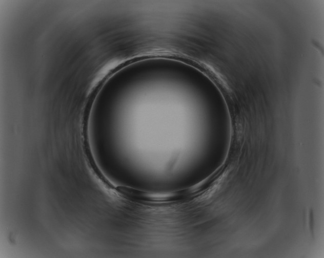 X0000093101422200709261221