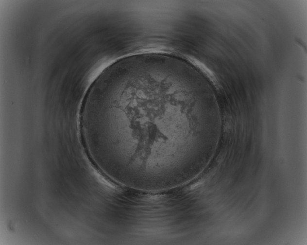 X0000093101423200709261221