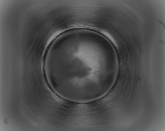 X0000093101424200709261221