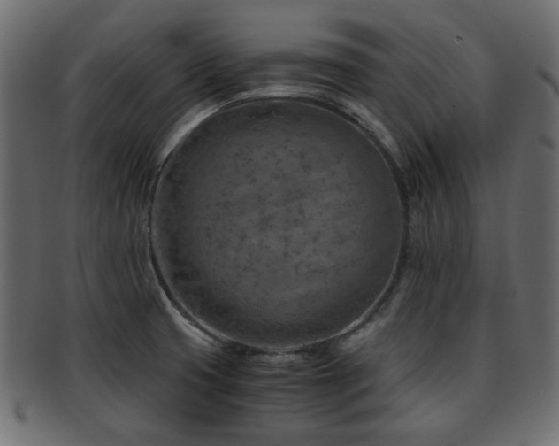 X0000093101425200709261221
