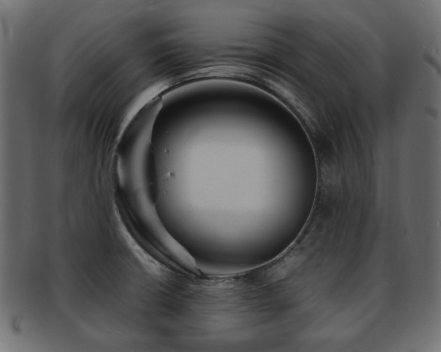 X0000093101426200709261221