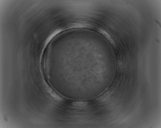 X0000093101427200709261221