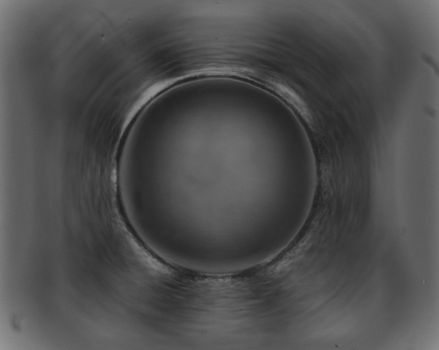 X0000093101428200709261221