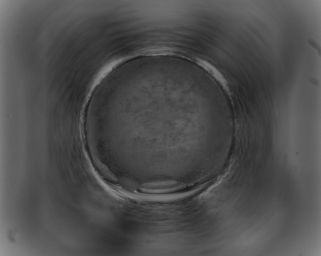 X0000093101429200709261221