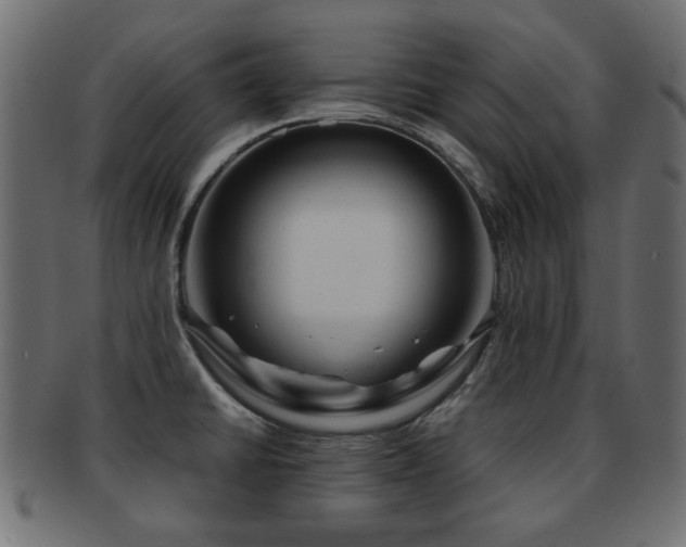 X0000093101430200709261221