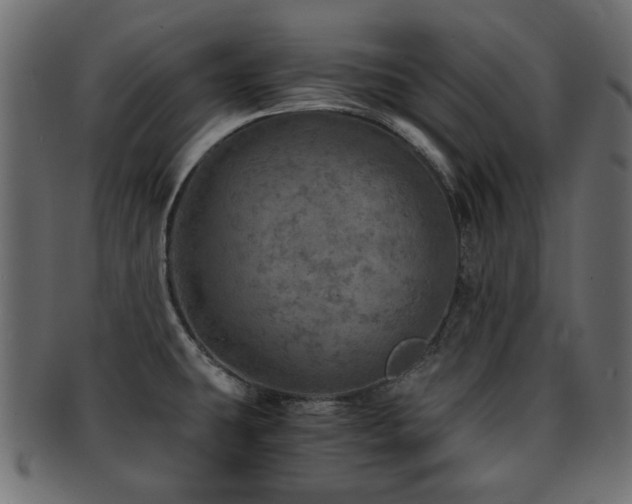 X0000093101431200709261221